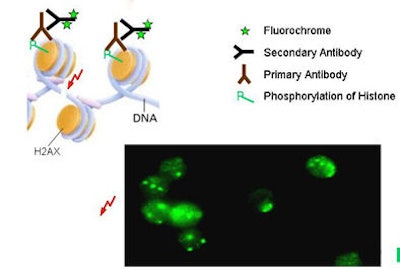 2010 04 02 13 25 06 17 Kufner dsb method V2