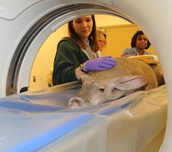 2010 04 05 14 07 21 784 Ct Scan 1 250