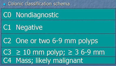 2010 05 06 11 31 30 505 Kim colonclass top