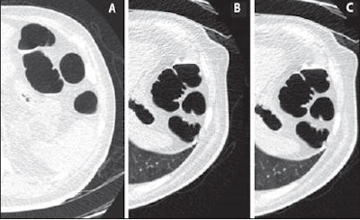 2010 06 18 15 03 32 489 Flicek top