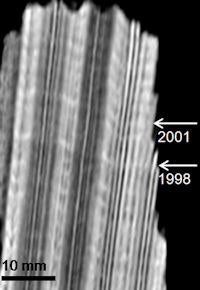 2010 07 30 14 55 59 883 Density Bands 200