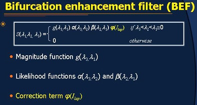 2010 10 28 10 33 21 290 Chen bifurcation enhancment filter New