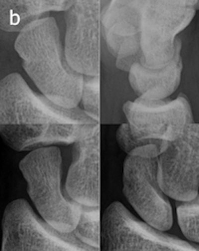 2010 11 19 11 54 19 750 2010 11 24 Image2