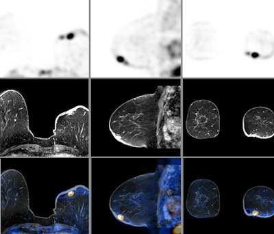 2010 11 28 18 12 48 306 Bullet 12 Blue Breast Pet Mr Petmr 450