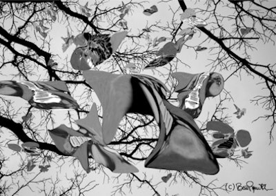 2011 01 12 14 08 07 33 Time To Rake 394