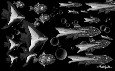 2011 01 12 14 08 09 131 School Out 394