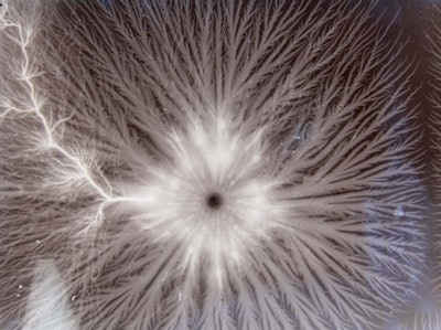 2011 04 08 10 49 08 282 Glass Plate Negative 450