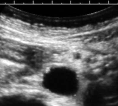 All images courtesy of Dr. Jason Birnholz.