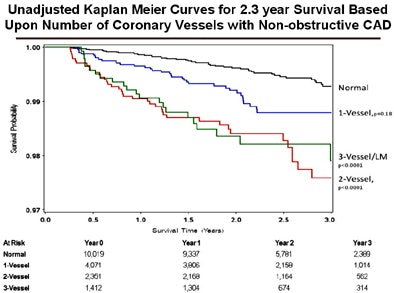 Kaplan-Meier curves