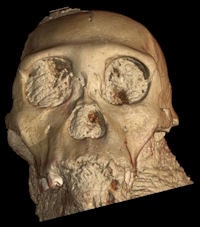 3D rendering of the skull of Australopithecus sediba from x-ray data gathered at the ESRF. Image courtesy of ESRF and Paul Tafforeau, PhD.
