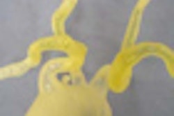 2011 10 11 14 46 36 841 Sosna Thumb 2011 12 70x70