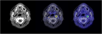 Semiconductor Pet Images
