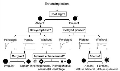 breast MRI classification tree