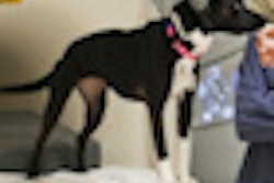 2012 05 17 15 21 33 531 Dog Thumb2
