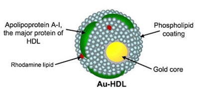 Illustration of gold core nanoparticle