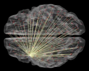 fMRI of neural connections
