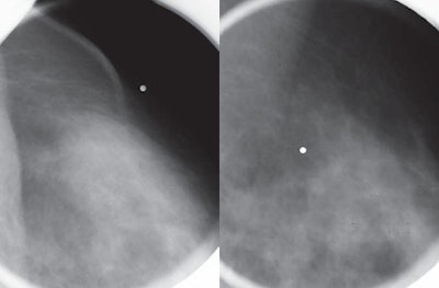 2012 10 19 15 05 46 82 Lehman Figure3 Cd 450