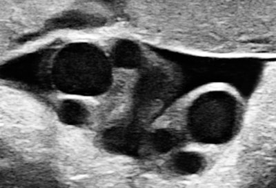 All images courtesy of Dr. Jason Birnholz.