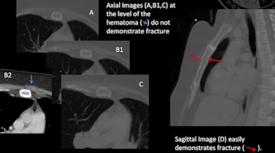 Images courtesy of Dr. Nina Terry.