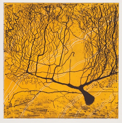 Neuron No. 3 etching. All images courtesy of Laura Jacobson.