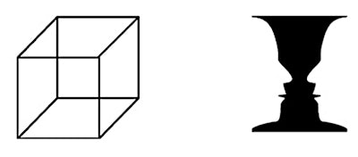 Examples of a Necker cube and reversed figure.