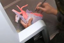 2014 11 19 12 13 41 566 Bramlet 3 D Printer Heart 250 20141119192742