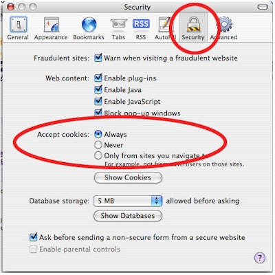 2009 07 29 14 49 13 221 Safari Issue Screen Shot