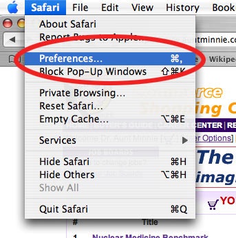 2009 07 29 14 49 13 381 Preferences Menu