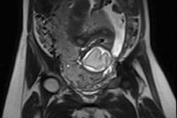 2015 02 11 13 42 53 33 2015 02 12 Jamal Pic2 20150211205017