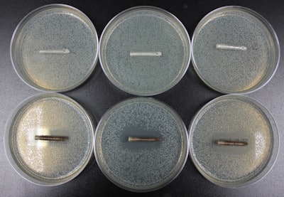 E. coli bacterial colonies on agar plates. Top row: 3D printing of standard plastic catheters. Bottom row: 3D printing of a bioplastic catheter infused with 1% gentamicin antibiotic. All images courtesy of Dr. Horacio D'Agostino.