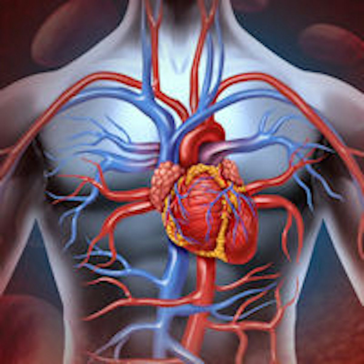 健康・医学 HEART DISEASE Amazon.com: Pathophysiology of Heart Disease: An
