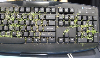 2015 04 20 09 48 27 956 Image2 Keyboard Sprouts