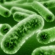 2015 06 17 16 02 10 644 Bacteria 200