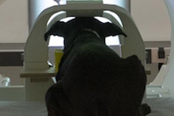 2015 08 04 13 35 27 5 Dog Brains 200