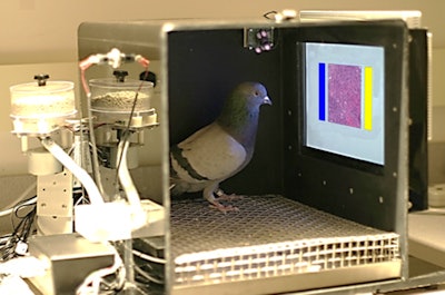 And you thought your reading room was small. Image courtesy of Edward Wasserman, PhD, University of Iowa.