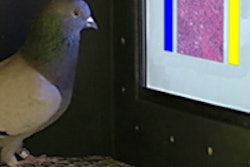 2015 11 17 15 50 30 979 Pigeon Box 200