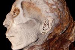 2016 04 26 11 10 02 100 2016 04 27 Mummy 3 D Ct Profile Face Of Thuya Great Grandmother Of Tutankhamun 20160426182227