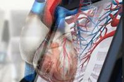 2016 07 20 15 46 06 274 2016 07 22 Echopixel True3 D Cardiac 20160720224724