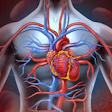 2016 09 20 16 53 46 654 Heart Scan 400