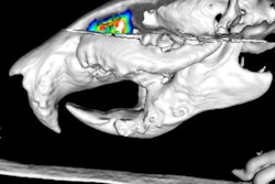 2017 01 23 16 48 19 410 Gv1 57 Olfactory Rat 400