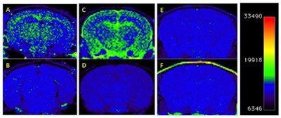 2017 02 14 15 32 27 264 Alzeca Cropped 20170214232402