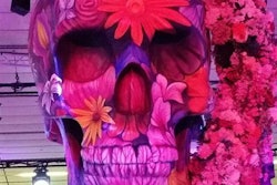 2017 03 07 12 20 23 435 2017 03 07 Floral Skull Ecr 2017 20170307194549