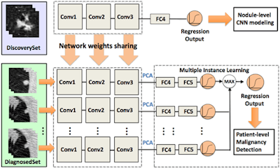 Convolutional neural networks are gaining enormous interest in cancer image diagnosis; however, insufficient numbers of pathologically proven cases impede the evaluation of CNN models at scale. The authors proposed a framework that learns deep features for patient-level lung cancer detection. The proposed model can significantly reduce demand for pathologically proven data, potentially empowering lung cancer diagnosis by leveraging multiple CT imaging datasets. Images courtesy of Mu Zhou, PhD, and Edward Lee.