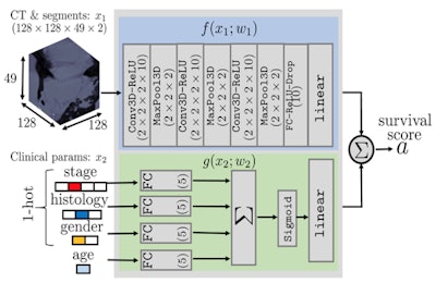 This schematic describes an algorithm to predict the survival times of each patient with lung cancer given only images and clinical data. The model uses CT data and segmentation volumes of interest in the first network and clinical information in the second network, combining both to generate a survival score.