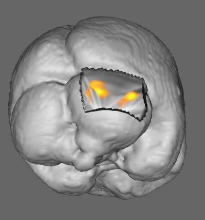 Evidence shows the benefits of shared reading may improve literacy and brain development. Image courtesy of Cincinnati Children's.