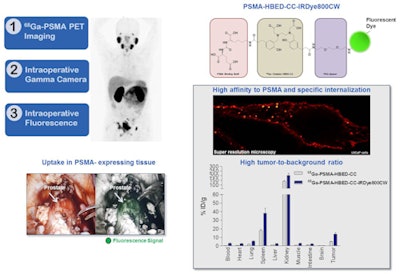 2017 06 14 11 04 15 78 Snmmi 2017 Image Of The Year 2017 500