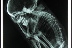 2017 08 30 17 33 9066 Mummy10 400