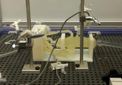 3D-printed coronary model connected to a programmable pump with pressure sensors. Image courtesy of Ciprian Ionita, PhD, from the University at Buffalo.