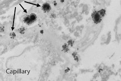 2017 11 29 21 25 2332 Mc Donald Gbca Images Set3 20171129213400