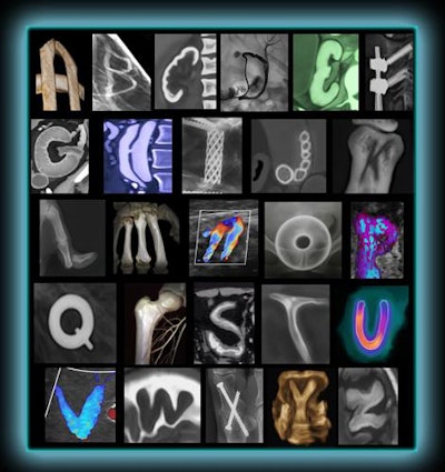 All images courtesy of Dr. Susan Summerton.